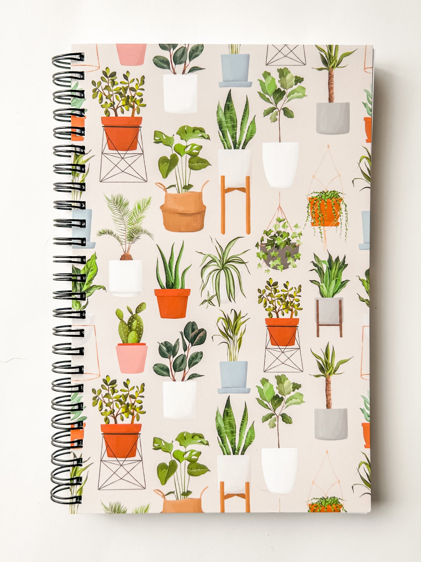 Plants Notebook